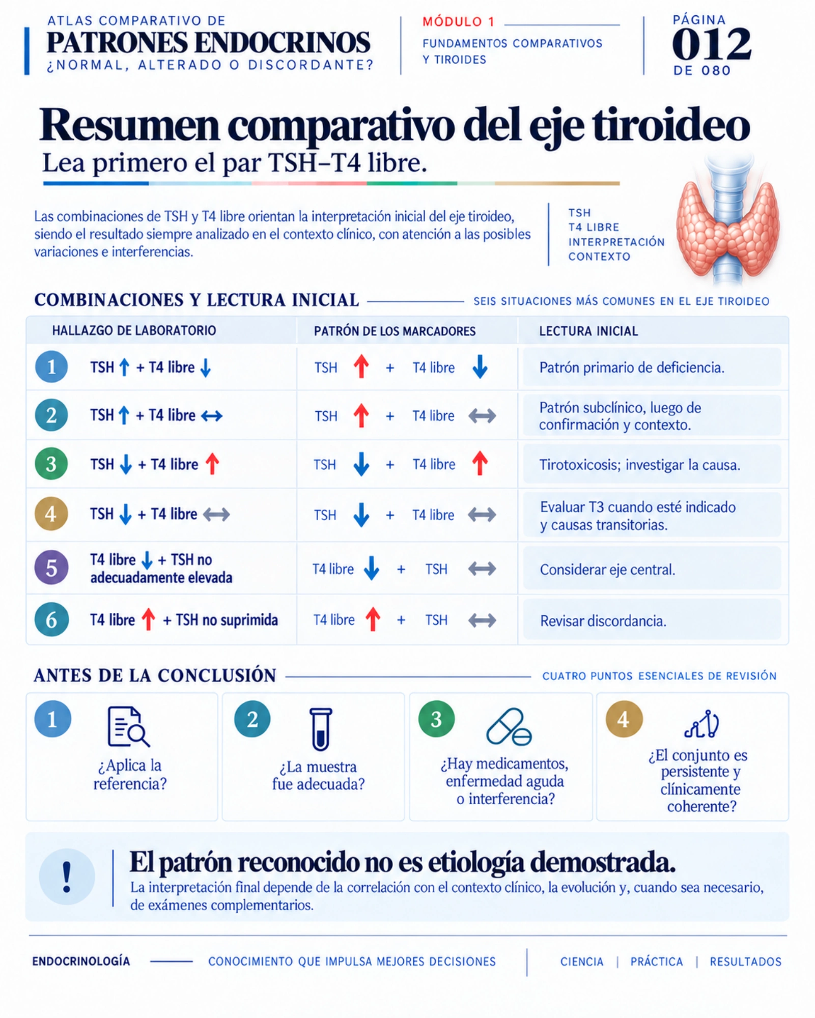 Atlas comparativo — página 12