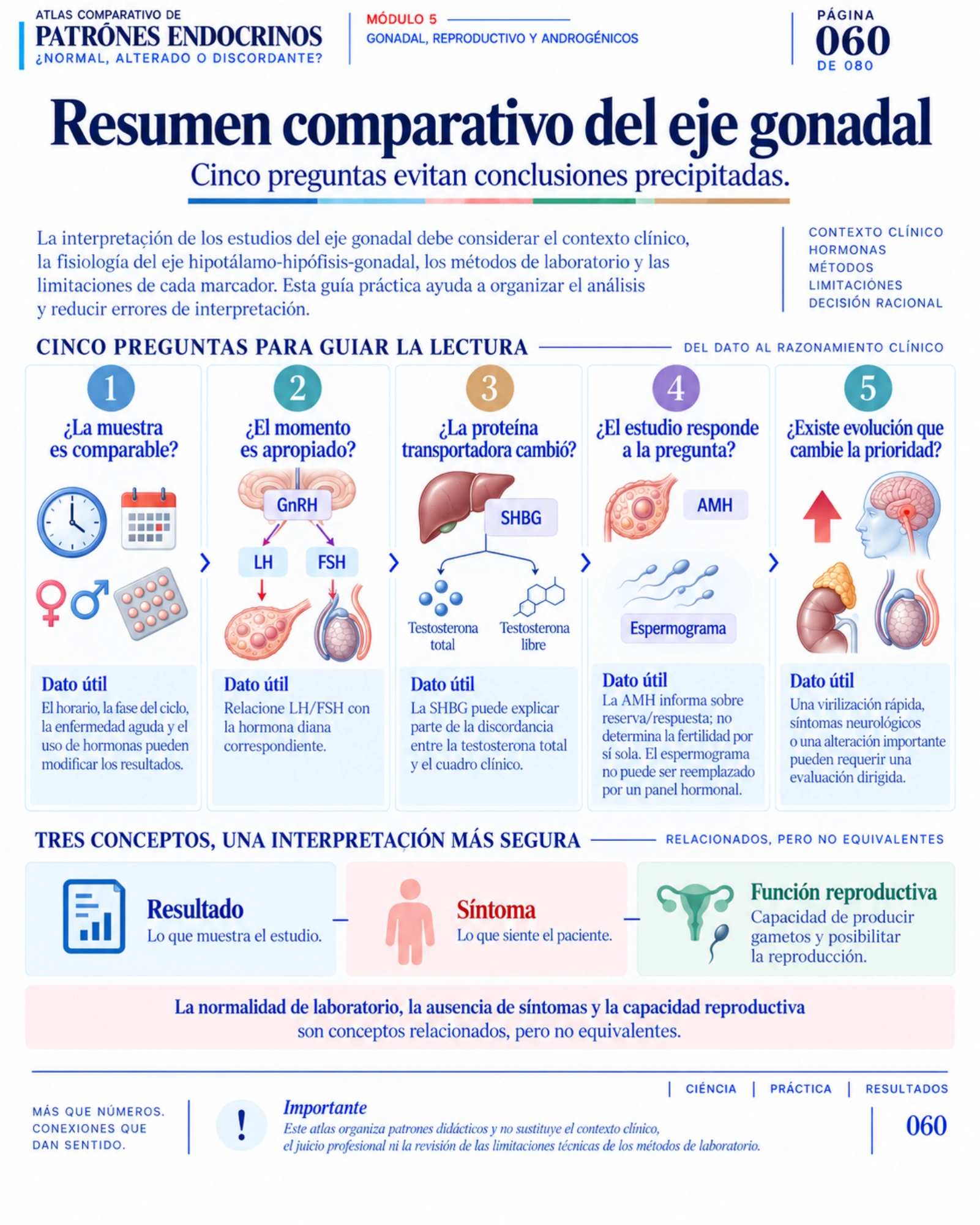 Atlas comparativo — página 60