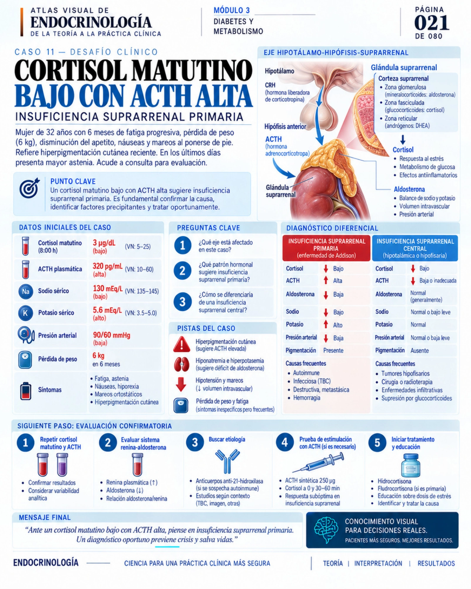 Conceptos y casos — página 21